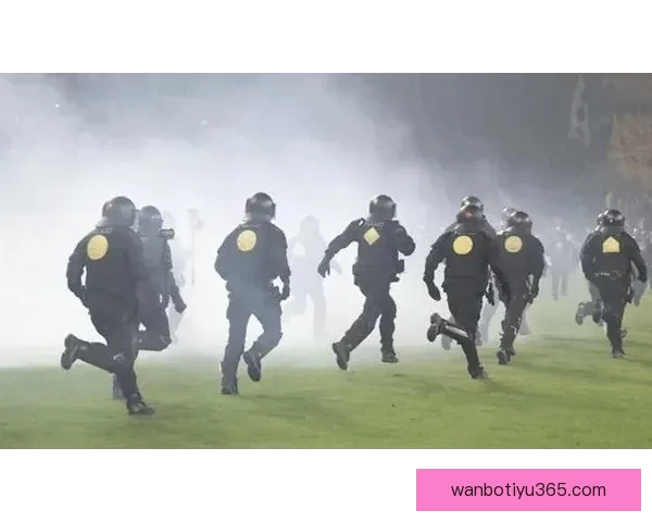 德累斯顿与赫塔球迷互掷烟火引发冲突 比赛中断20分钟局势紧张